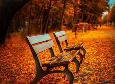 benches-gc4bb0f519_1920.jpg (1)